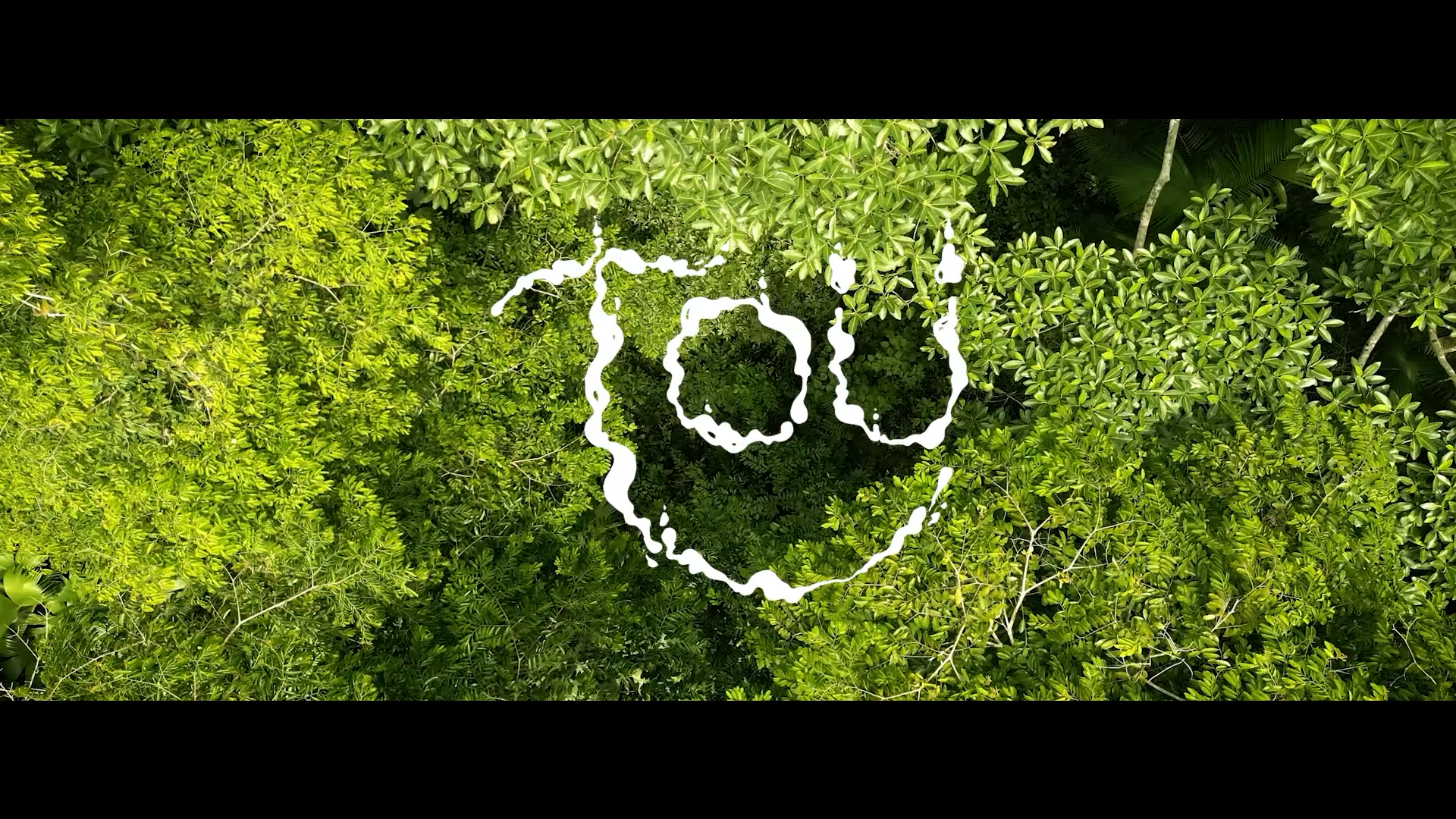 Toü. El guardián de la selva